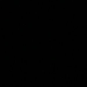 Meet your Posher, Maximus-carter